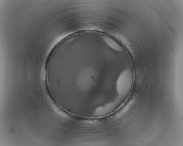X0000110991125200907022111