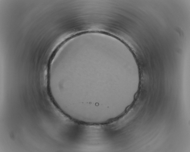 X0000110991126200907022111