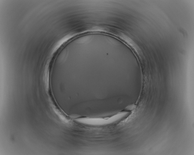 X0000110991127200907022111