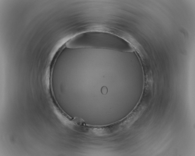 X0000110991128200907022111