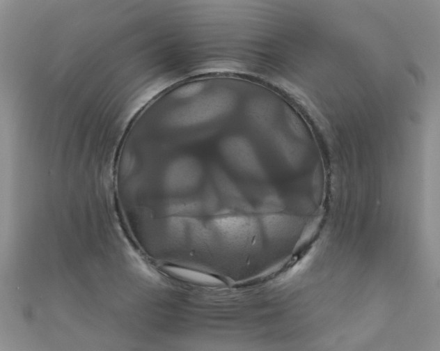 X0000110991129200907022111