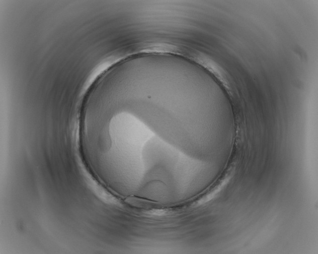 X0000110991130200907022111