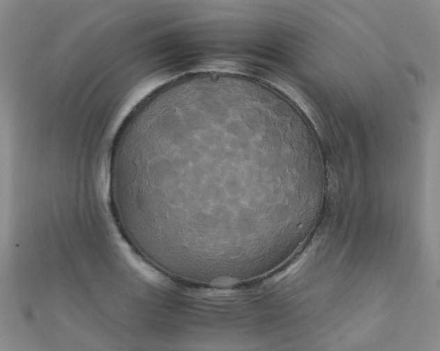 X0000110991131200907022111