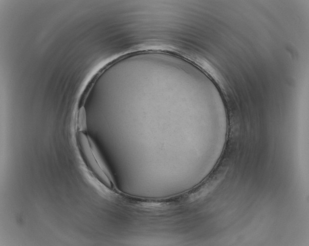 X0000110991132200907022111