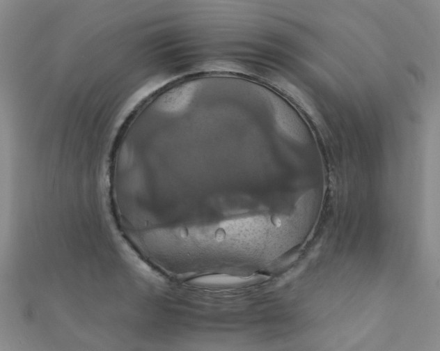 X0000110991133200907022111