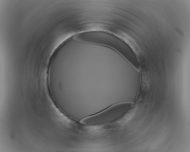 X0000110991134200907022111