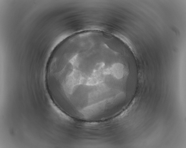 X0000110991135200907022111
