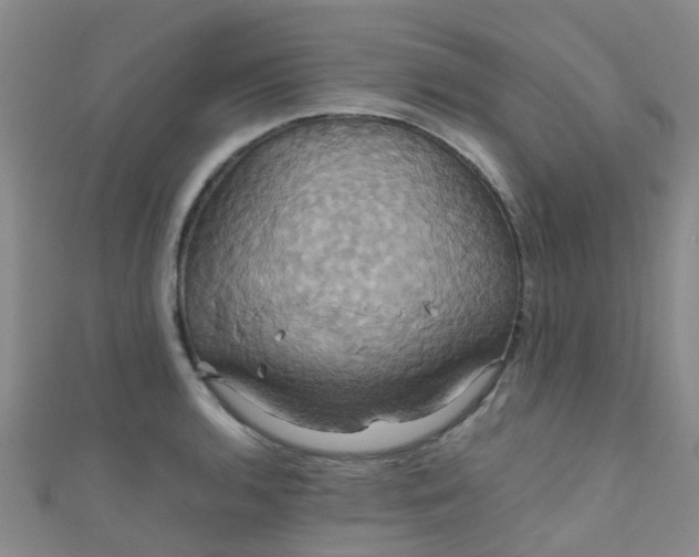 X0000110991136200907022111