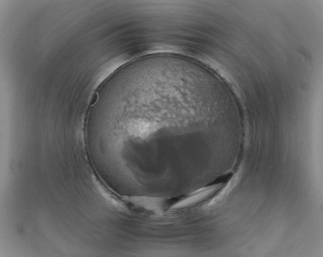X0000110991137200907022111