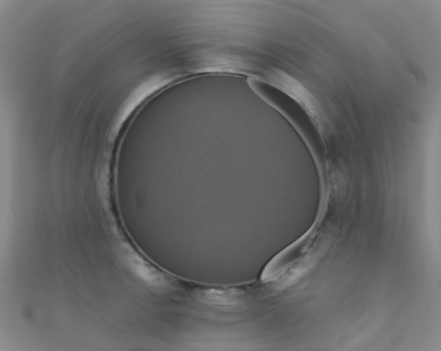 X0000110991138200907022111
