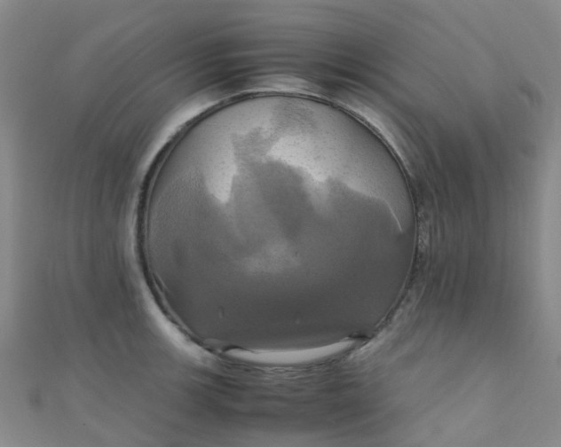 X0000110991139200907022111