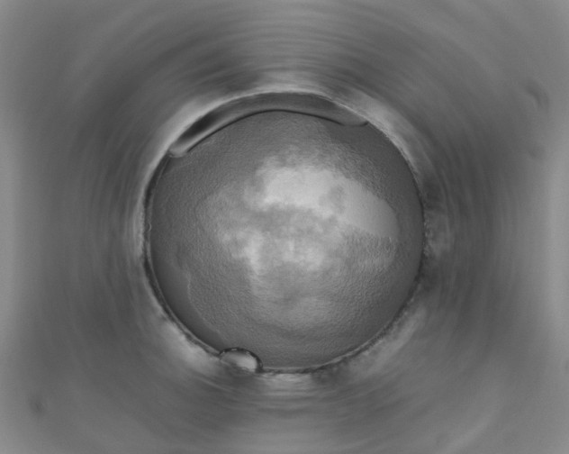 X0000110991140200907022111
