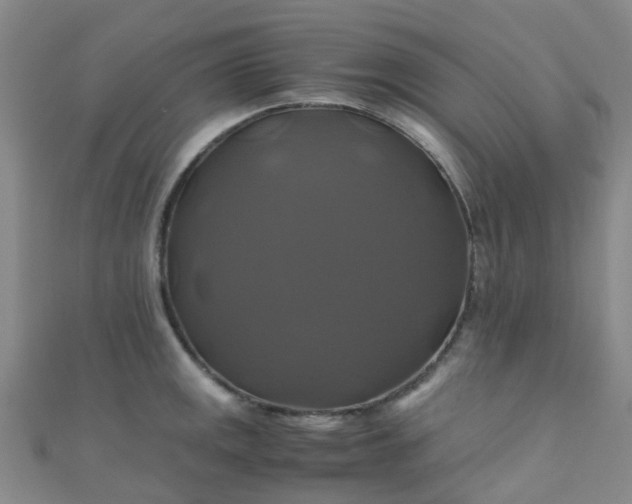 X0000110991141200907022111