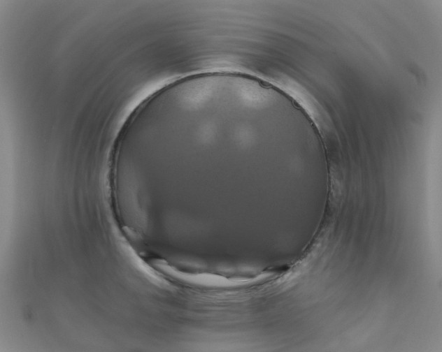 X0000110991142200907022111