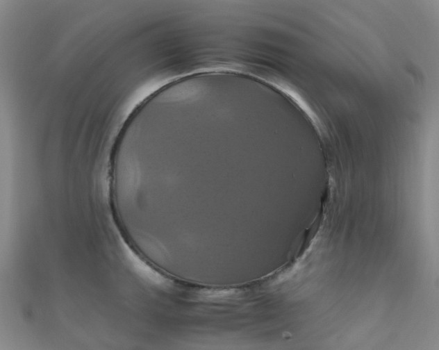 X0000110991143200907022111
