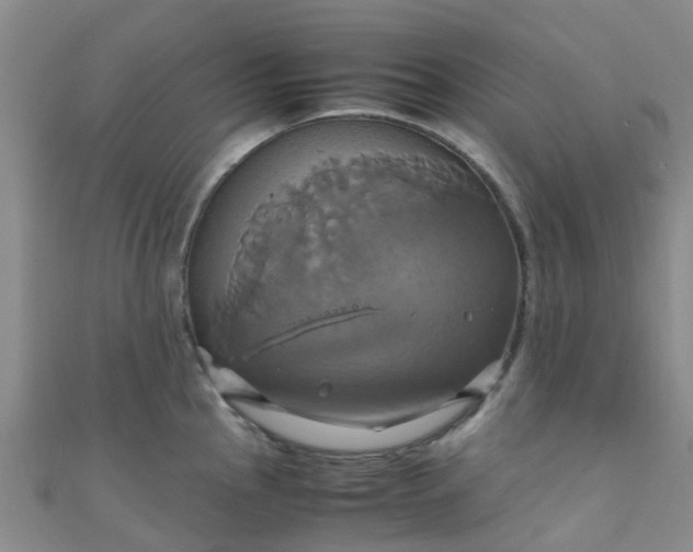 X0000110991145200907022111