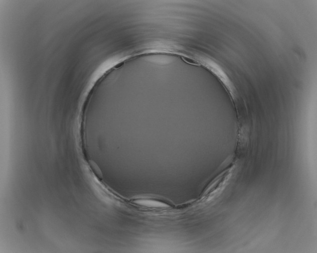 X0000110991146200907022111