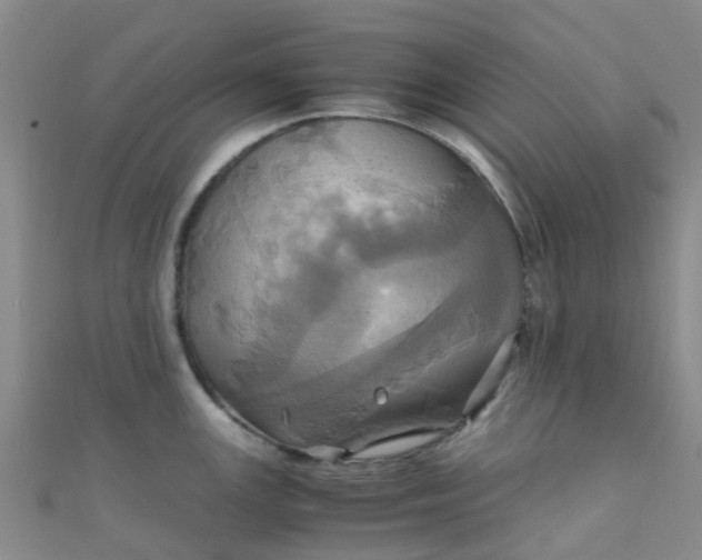 X0000110991147200907022111