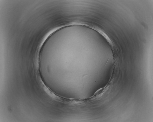 X0000110991148200907022111