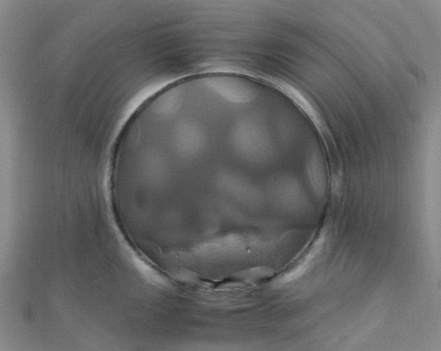 X0000110991149200907022111