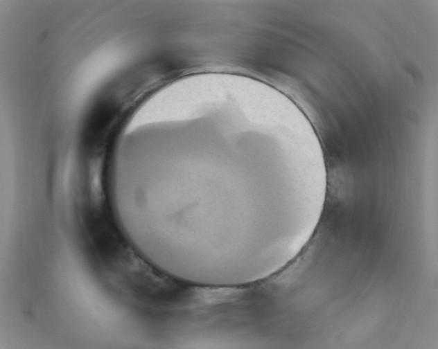 X0000110991150200907022111