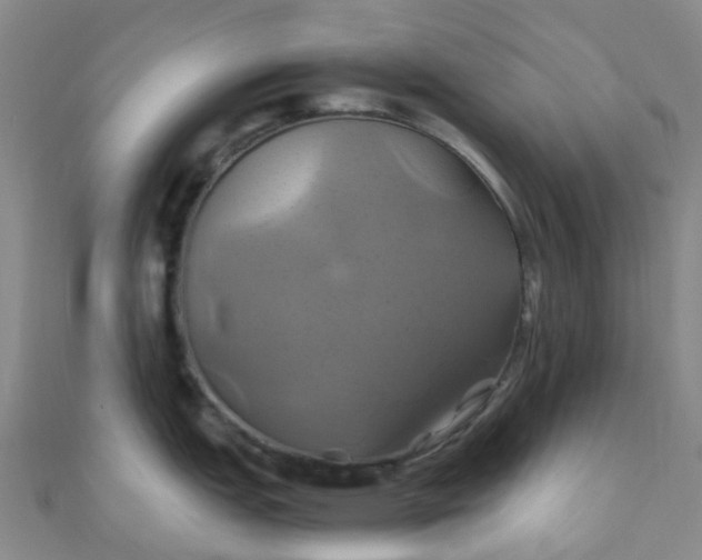 X0000110991151200907022111