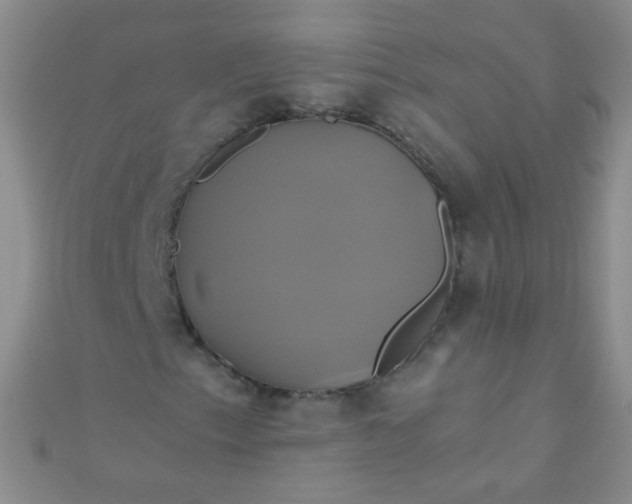 X0000110991153200907022111