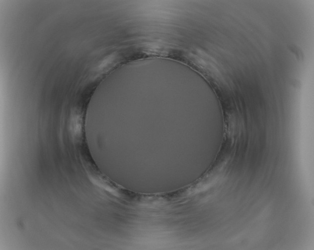 X0000110991154200907022111