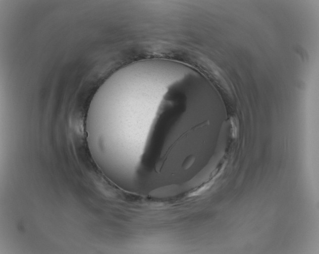 X0000110991155200907022111