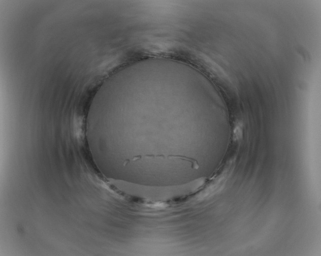 X0000110991156200907022111