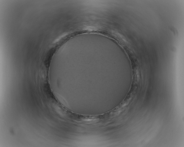 X0000110991158200907022111