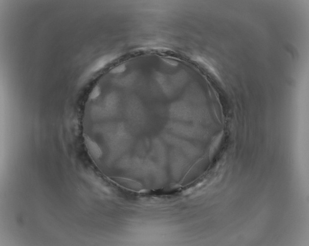 X0000110991159200907022111