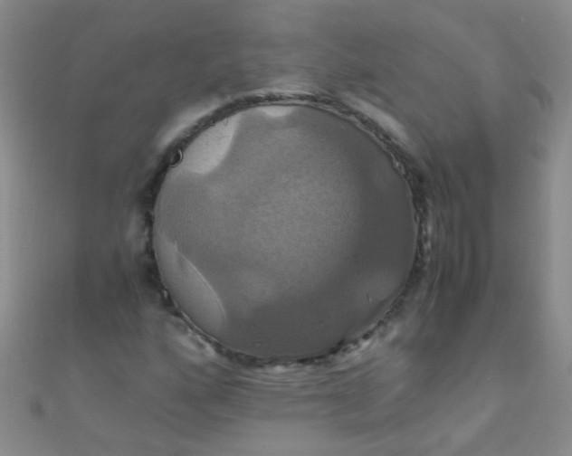 X0000110991160200907022111