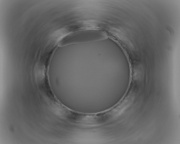 X0000110991161200907022111