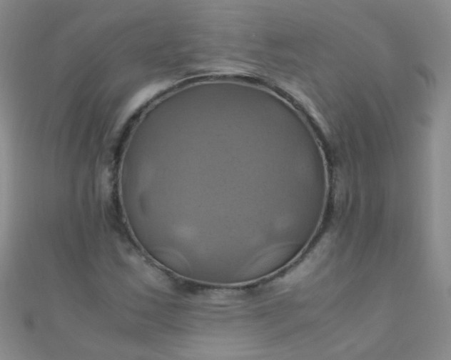 X0000110991163200907022111