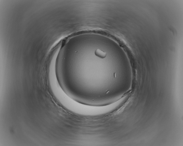X0000110991165200907022111