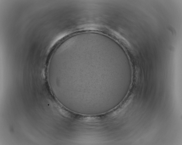 X0000110991166200907022111