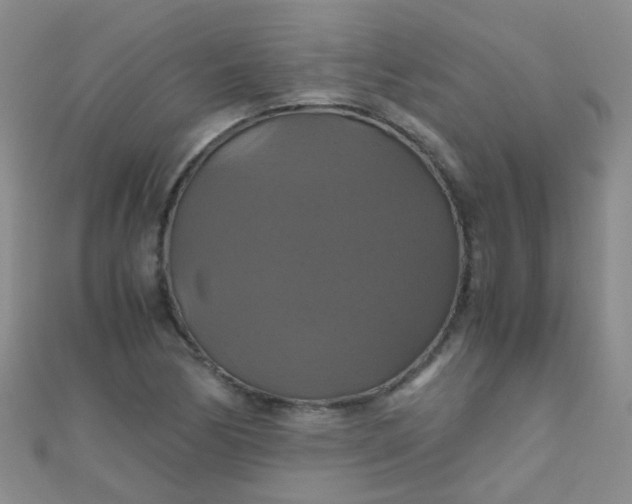 X0000110991170200907022111
