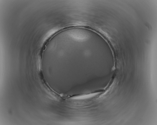 X0000110991171200907022111