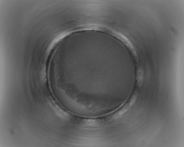 X0000110991172200907022111