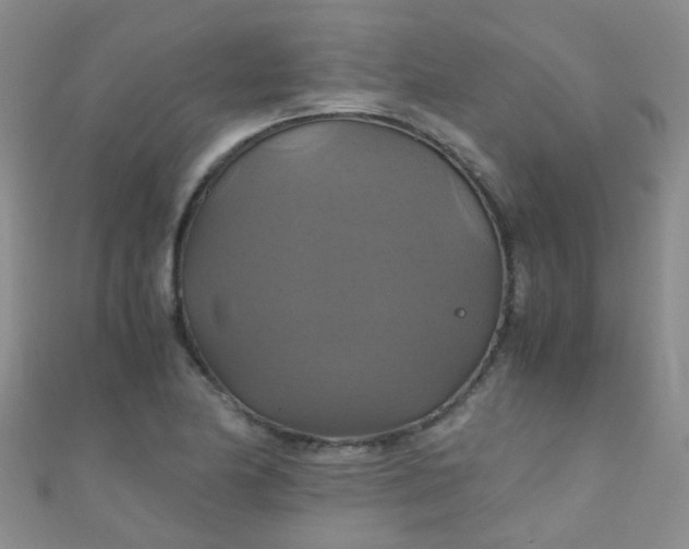 X0000110991174200907022110