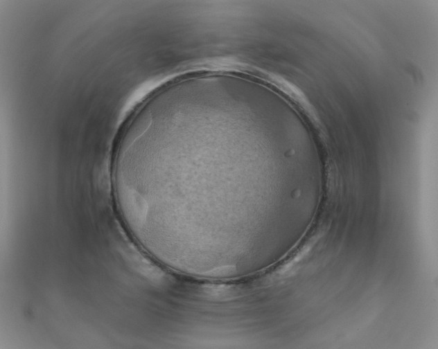 X0000110991176200907022110