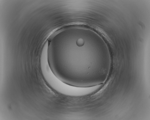 X0000110991177200907022110