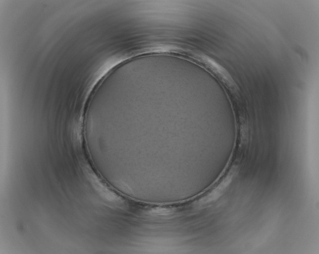X0000110991178200907022110