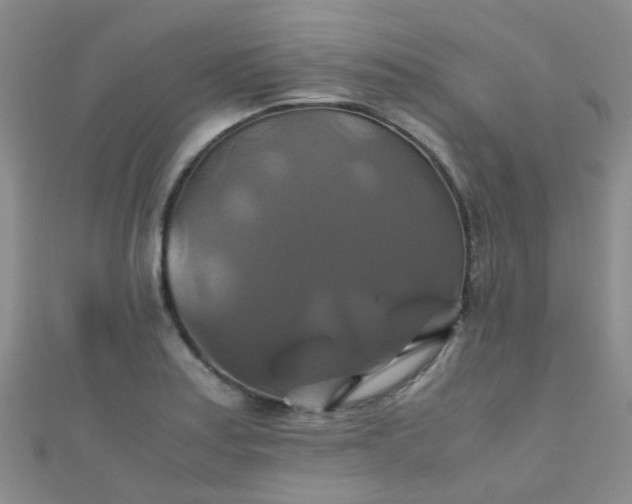X0000110991179200907022110