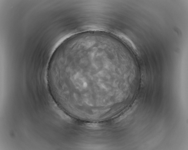 X0000110991182200907022110