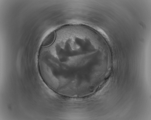 X0000110991183200907022110