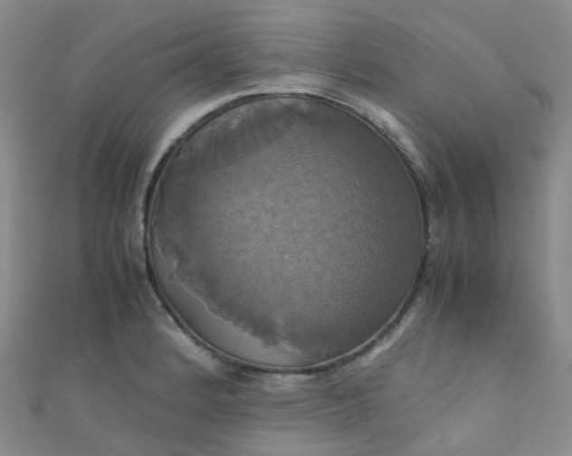 X0000110991184200907022110