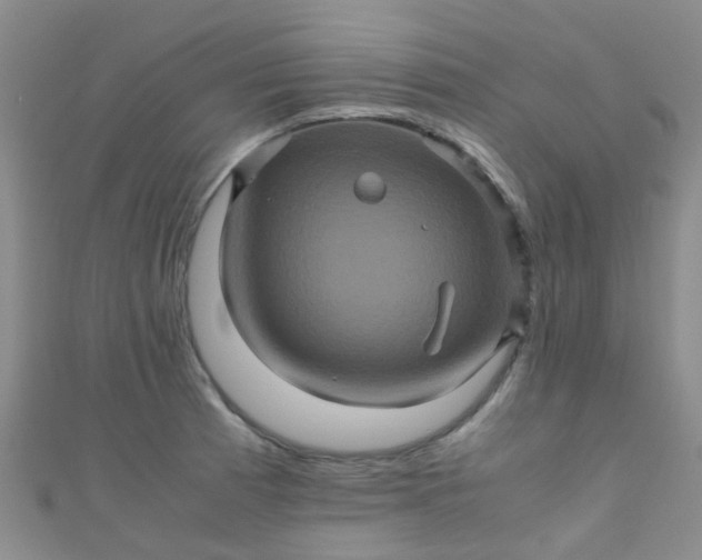 X0000110991185200907022110