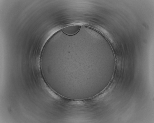 X0000110991186200907022110